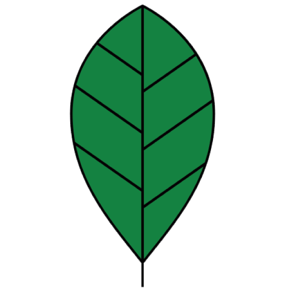 Icône feuille Coove