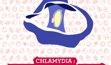 Chlamydia : causes, risques et prévention
