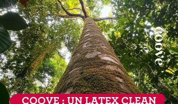 Coove : un latex clean de l&rsquo;arbre jusqu&rsquo;à ton lit
